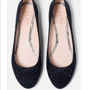 Zara Navy Blue Suede Ballerinas